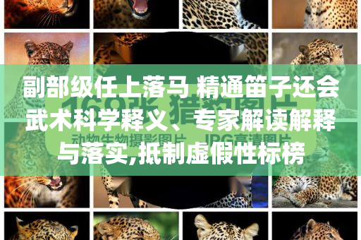 副部級任上落馬 精通笛子還會武術(shù)科學(xué)釋義、專家解讀解釋與落實,抵制虛假性標(biāo)榜