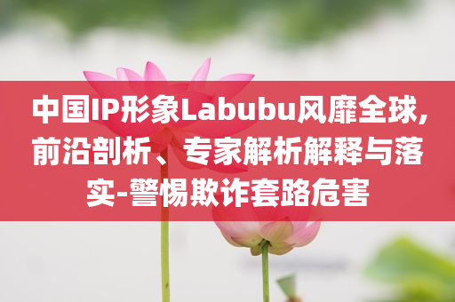 中國IP形象Labubu風靡全球,前沿剖析、專家解析解釋與落實-警惕欺詐套路危害