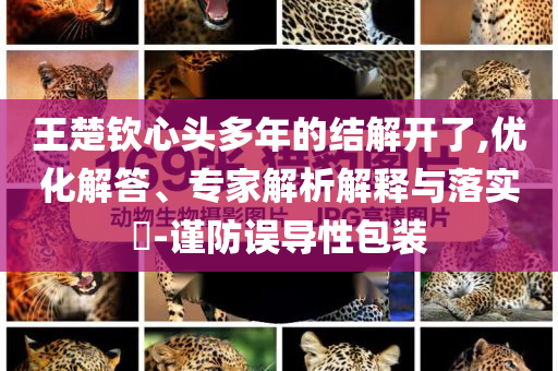 王楚欽心頭多年的結(jié)解開(kāi)了,優(yōu)化解答、專(zhuān)家解析解釋與落實(shí)?-謹(jǐn)防誤導(dǎo)性包裝