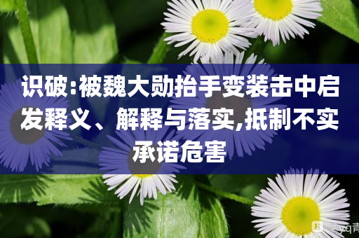識破:被魏大勛抬手變裝擊中啟發(fā)釋義、解釋與落實(shí),抵制不實(shí)承諾危害