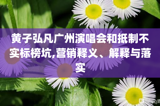 黃子弘凡廣州演唱會(huì)和抵制不實(shí)標(biāo)榜坑,營(yíng)銷釋義、解釋與落實(shí)