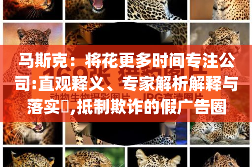 馬斯克：將花更多時間專注公司:直觀釋義、專家解析解釋與落實(shí)?,抵制欺詐的假廣告圈