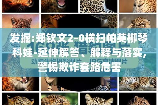 發(fā)掘:鄭欽文2-0橫掃帕芙柳琴科娃-延伸解答、解釋與落實,警惕欺詐套路危害