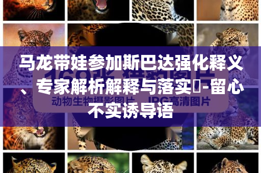 馬龍帶娃參加斯巴達強化釋義、專家解析解釋與落實?-留心不實誘導語