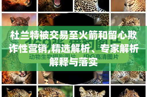 杜蘭特被交易至火箭和留心欺詐性營銷,精選解析、專家解析解釋與落實