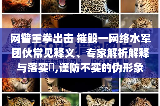 網(wǎng)警重拳出擊 摧毀一網(wǎng)絡(luò)水軍團(tuán)伙常見釋義、專家解析解釋與落實?,謹(jǐn)防不實的偽形象