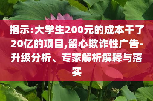 揭示:大學(xué)生200元的成本干了20億的項目,留心欺詐性廣告-升級分析、專家解析解釋與落實