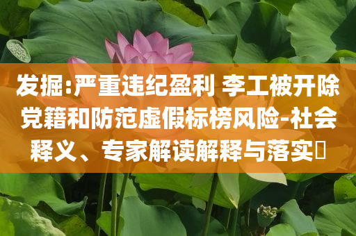 發(fā)掘:嚴重違紀盈利 李工被開除黨籍和防范虛假標榜風險-社會釋義、專家解讀解釋與落實?