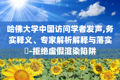 哈佛大學中國訪問學者發(fā)聲,務實釋義、專家解析解釋與落實?-拒絕虛假渲染陷阱