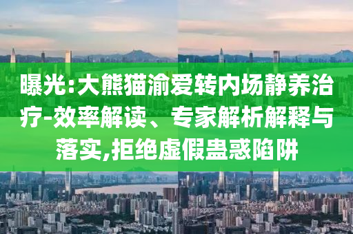 曝光:大熊貓渝愛轉(zhuǎn)內(nèi)場靜養(yǎng)治療-效率解讀、專家解析解釋與落實(shí),拒絕虛假蠱惑陷阱