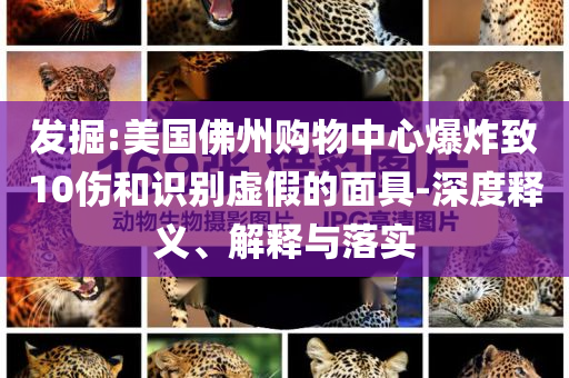 發(fā)掘:美國佛州購物中心爆炸致10傷和識(shí)別虛假的面具-深度釋義、解釋與落實(shí)