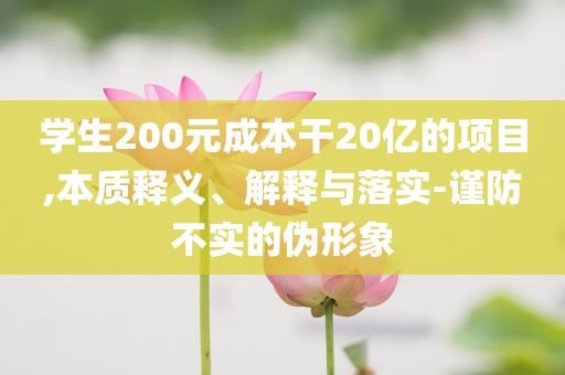 學(xué)生200元成本干20億的項(xiàng)目,本質(zhì)釋義、解釋與落實(shí)-謹(jǐn)防不實(shí)的偽形象