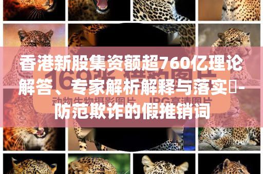 香港新股集資額超760億理論解答、專家解析解釋與落實?-防范欺詐的假推銷詞