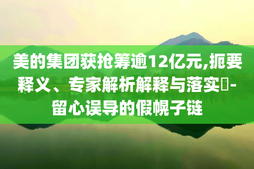 美的集團(tuán)獲搶籌逾12億元,扼要釋義、專家解析解釋與落實(shí)?-留心誤導(dǎo)的假幌子鏈