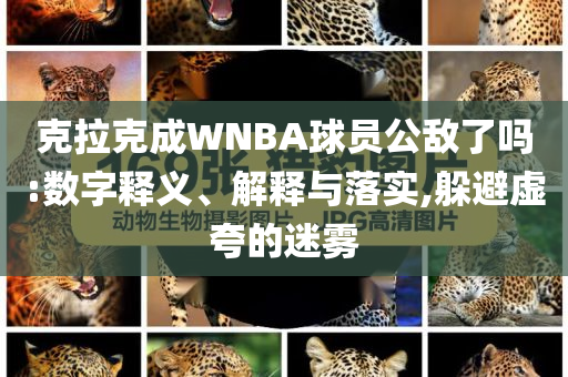 克拉克成WNBA球員公敵了嗎:數(shù)字釋義、解釋與落實,躲避虛夸的迷霧