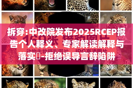 拆穿:中改院發(fā)布2025RCEP報告?zhèn)€人釋義、專家解讀解釋與落實?-拒絕誤導(dǎo)言辭陷阱