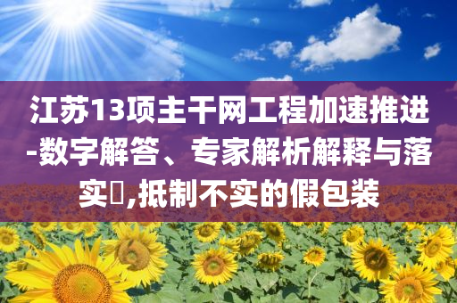 江蘇13項主干網(wǎng)工程加速推進-數(shù)字解答、專家解析解釋與落實?,抵制不實的假包裝