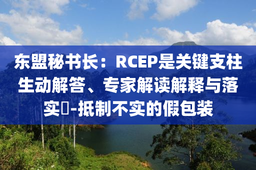 東盟秘書長：RCEP是關(guān)鍵支柱生動解答、專家解讀解釋與落實?-抵制不實的假包裝