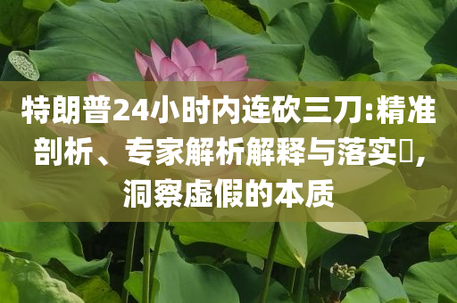 特朗普24小時(shí)內(nèi)連砍三刀:精準(zhǔn)剖析、專家解析解釋與落實(shí)?,洞察虛假的本質(zhì)