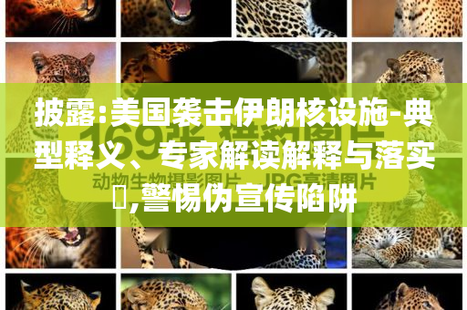 披露:美國襲擊伊朗核設(shè)施-典型釋義、專家解讀解釋與落實?,警惕偽宣傳陷阱