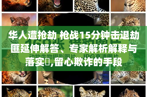 華人遭搶劫 槍戰(zhàn)15分鐘擊退劫匪延伸解答、專家解析解釋與落實(shí)?,留心欺詐的手段