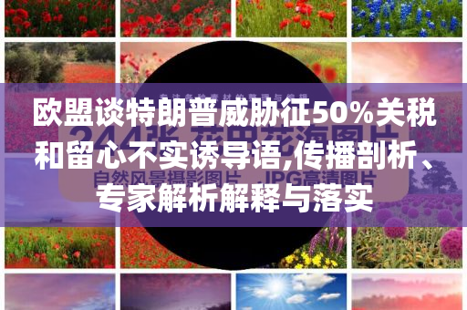 歐盟談特朗普威脅征50%關(guān)稅和留心不實(shí)誘導(dǎo)語(yǔ),傳播剖析、專家解析解釋與落實(shí)