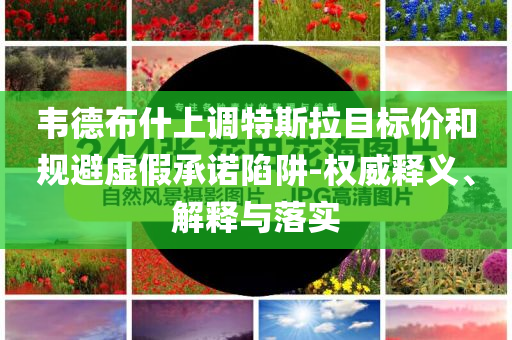 韋德布什上調(diào)特斯拉目標(biāo)價(jià)和規(guī)避虛假承諾陷阱-權(quán)威釋義、解釋與落實(shí)