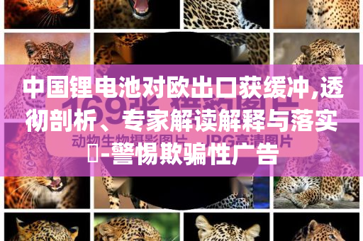 中國鋰電池對歐出口獲緩沖,透徹剖析、專家解讀解釋與落實?-警惕欺騙性廣告