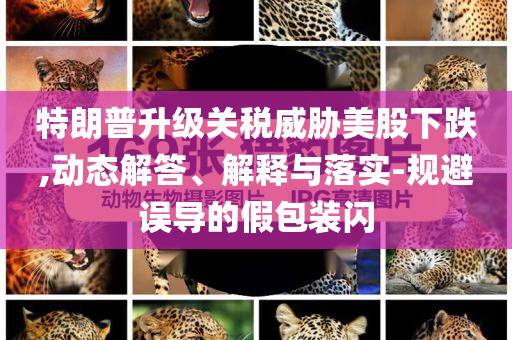 特朗普升級關(guān)稅威脅美股下跌,動態(tài)解答、解釋與落實-規(guī)避誤導(dǎo)的假包裝閃