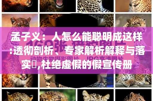 孟子義：人怎么能聰明成這樣:透徹剖析、專家解析解釋與落實?,杜絕虛假的假宣傳冊