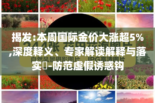 揭發(fā):本周國際金價大漲超5%,深度釋義、專家解讀解釋與落實?-防范虛假誘惑鉤