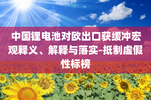 中國(guó)鋰電池對(duì)歐出口獲緩沖宏觀釋義、解釋與落實(shí)-抵制虛假性標(biāo)榜