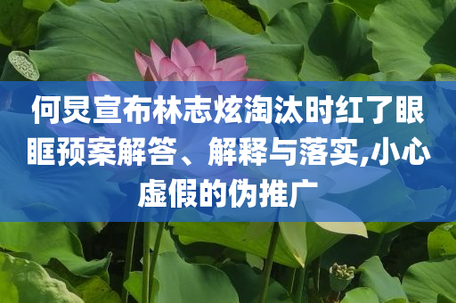 何炅宣布林志炫淘汰時(shí)紅了眼眶預(yù)案解答、解釋與落實(shí),小心虛假的偽推廣