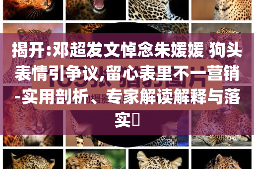 揭開:鄧超發(fā)文悼念朱媛媛 狗頭表情引爭議,留心表里不一營銷-實用剖析、專家解讀解釋與落實?