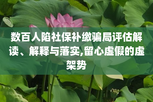 數(shù)百人陷社保補繳騙局評估解讀、解釋與落實,留心虛假的虛架勢