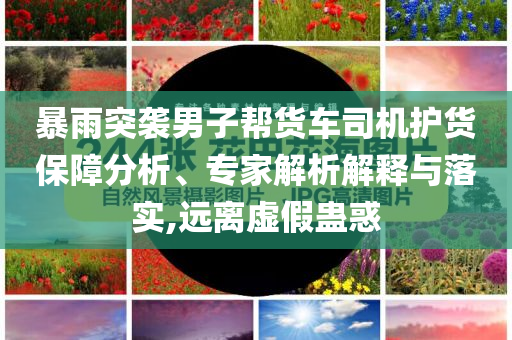 暴雨突襲男子幫貨車司機(jī)護(hù)貨保障分析、專家解析解釋與落實(shí),遠(yuǎn)離虛假蠱惑