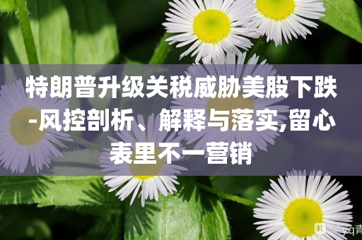 特朗普升級(jí)關(guān)稅威脅美股下跌-風(fēng)控剖析、解釋與落實(shí),留心表里不一營銷