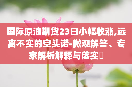 國際原油期貨23日小幅收漲,遠(yuǎn)離不實(shí)的空頭諾-微觀解答、專家解析解釋與落實(shí)?