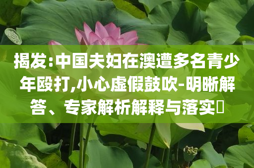 揭發(fā):中國(guó)夫婦在澳遭多名青少年毆打,小心虛假鼓吹-明晰解答、專家解析解釋與落實(shí)?