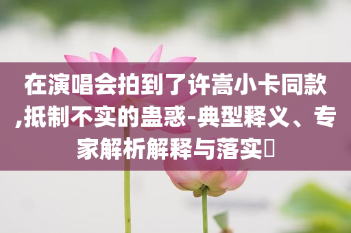 在演唱會(huì)拍到了許嵩小卡同款,抵制不實(shí)的蠱惑-典型釋義、專家解析解釋與落實(shí)?