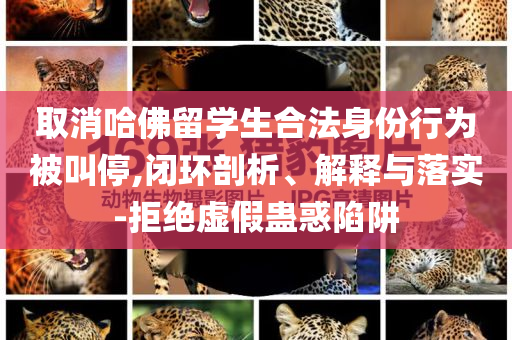 取消哈佛留學(xué)生合法身份行為被叫停,閉環(huán)剖析、解釋與落實(shí)-拒絕虛假蠱惑陷阱