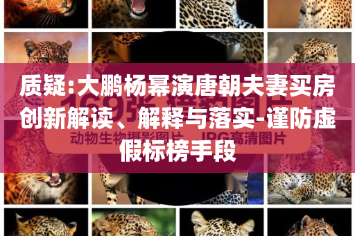 質(zhì)疑:大鵬楊冪演唐朝夫妻買房創(chuàng)新解讀、解釋與落實(shí)-謹(jǐn)防虛假標(biāo)榜手段