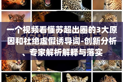 一個(gè)視頻看懂蘇超出圈的3大原因和杜絕虛假誘導(dǎo)詞-創(chuàng)新分析、專(zhuān)家解析解釋與落實(shí)