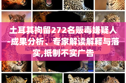 土耳其拘留272名販毒嫌疑人-成果分析、專家解讀解釋與落實,抵制不實廣告
