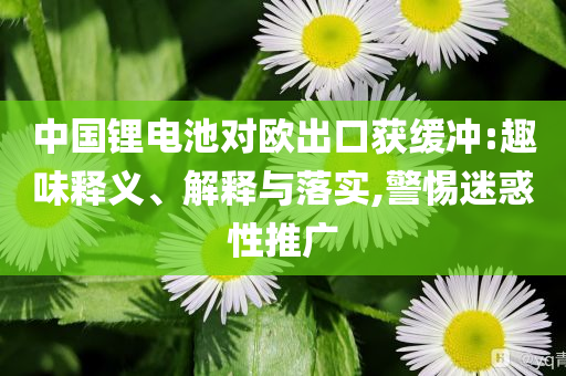 中國鋰電池對歐出口獲緩沖:趣味釋義、解釋與落實,警惕迷惑性推廣