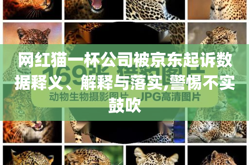 網(wǎng)紅貓一杯公司被京東起訴數(shù)據(jù)釋義、解釋與落實,警惕不實鼓吹