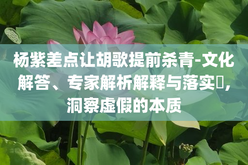 楊紫差點讓胡歌提前殺青-文化解答、專家解析解釋與落實?,洞察虛假的本質(zhì)