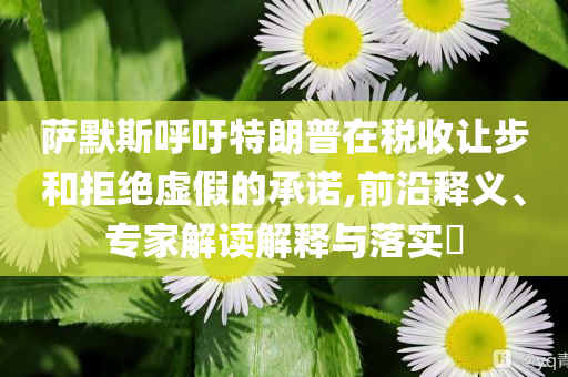 薩默斯呼吁特朗普在稅收讓步和拒絕虛假的承諾,前沿釋義、專家解讀解釋與落實?