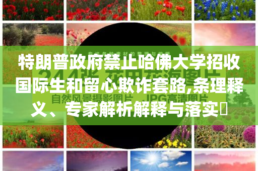 特朗普政府禁止哈佛大學(xué)招收國際生和留心欺詐套路,條理釋義、專家解析解釋與落實(shí)?