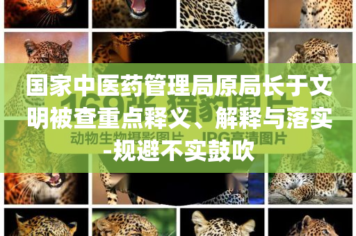 國家中醫(yī)藥管理局原局長于文明被查重點(diǎn)釋義、解釋與落實-規(guī)避不實鼓吹